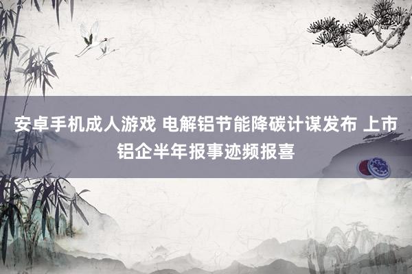 安卓手机成人游戏 电解铝节能降碳计谋发布 上市铝企半年报事迹频报喜