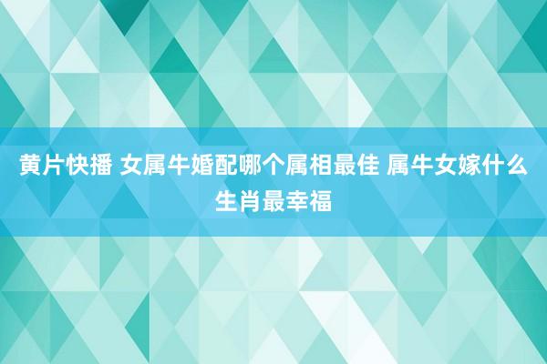 黄片快播 女属牛婚配哪个属相最佳 属牛女嫁什么生肖最幸福