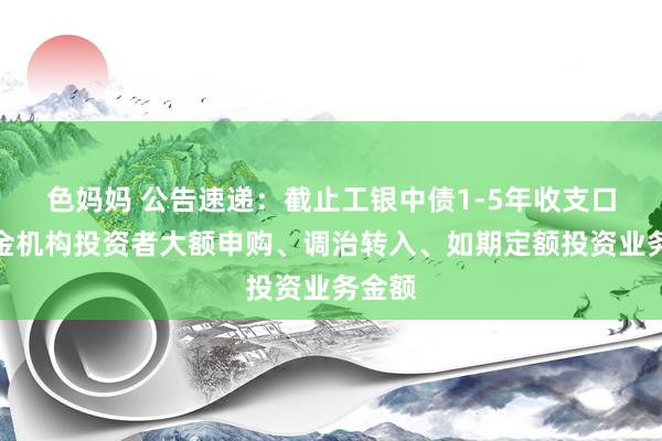 色妈妈 公告速递：截止工银中债1-5年收支口行基金机构投资者大额申购、调治转入、如期定额投资业务金额