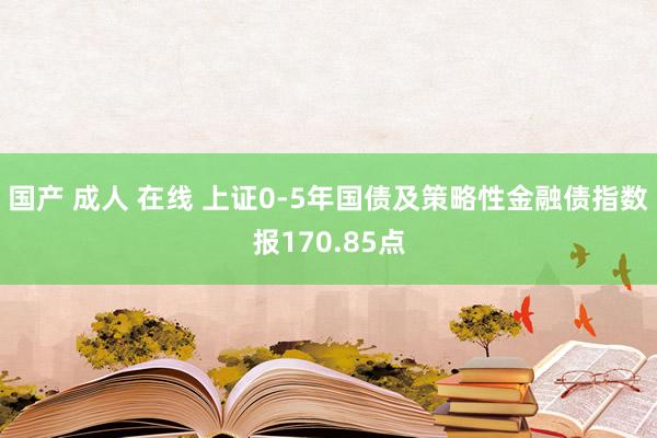 国产 成人 在线 上证0-5年国债及策略性金融债指数报170.85点