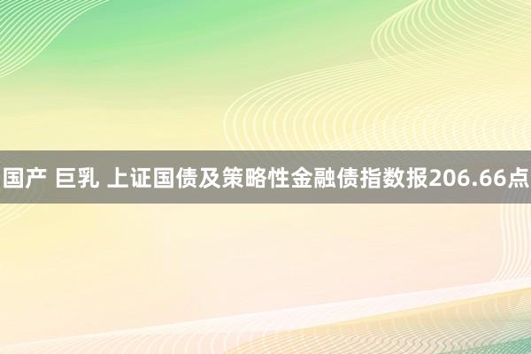 国产 巨乳 上证国债及策略性金融债指数报206.66点