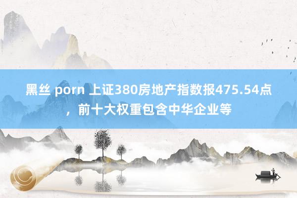 黑丝 porn 上证380房地产指数报475.54点，前十大权重包含中华企业等