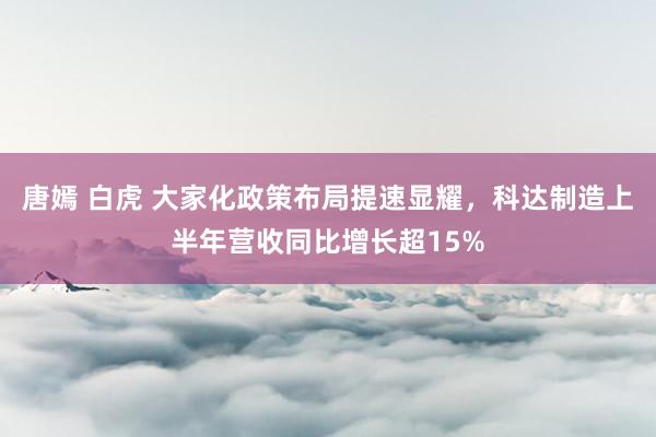 唐嫣 白虎 大家化政策布局提速显耀，科达制造上半年营收同比增长超15%