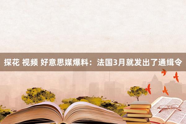 探花 视频 好意思媒爆料：法国3月就发出了通缉令