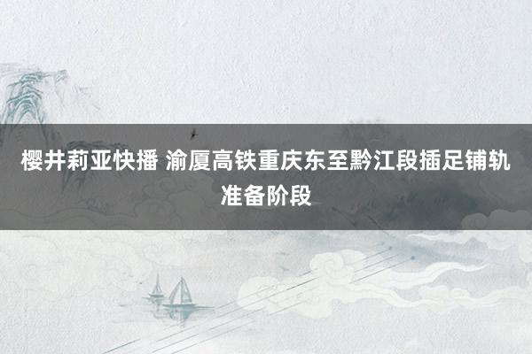 樱井莉亚快播 渝厦高铁重庆东至黔江段插足铺轨准备阶段