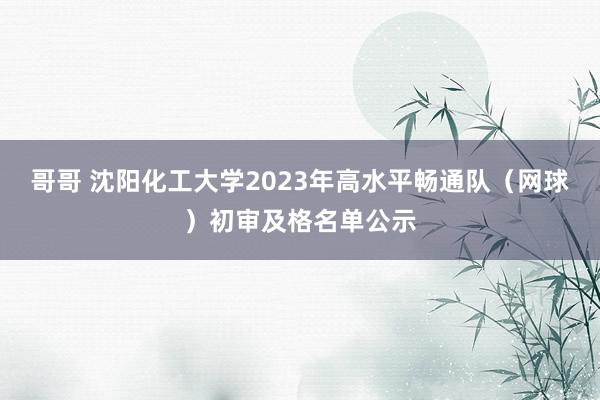 哥哥 沈阳化工大学2023年高水平畅通队（网球）初审及格名单公示